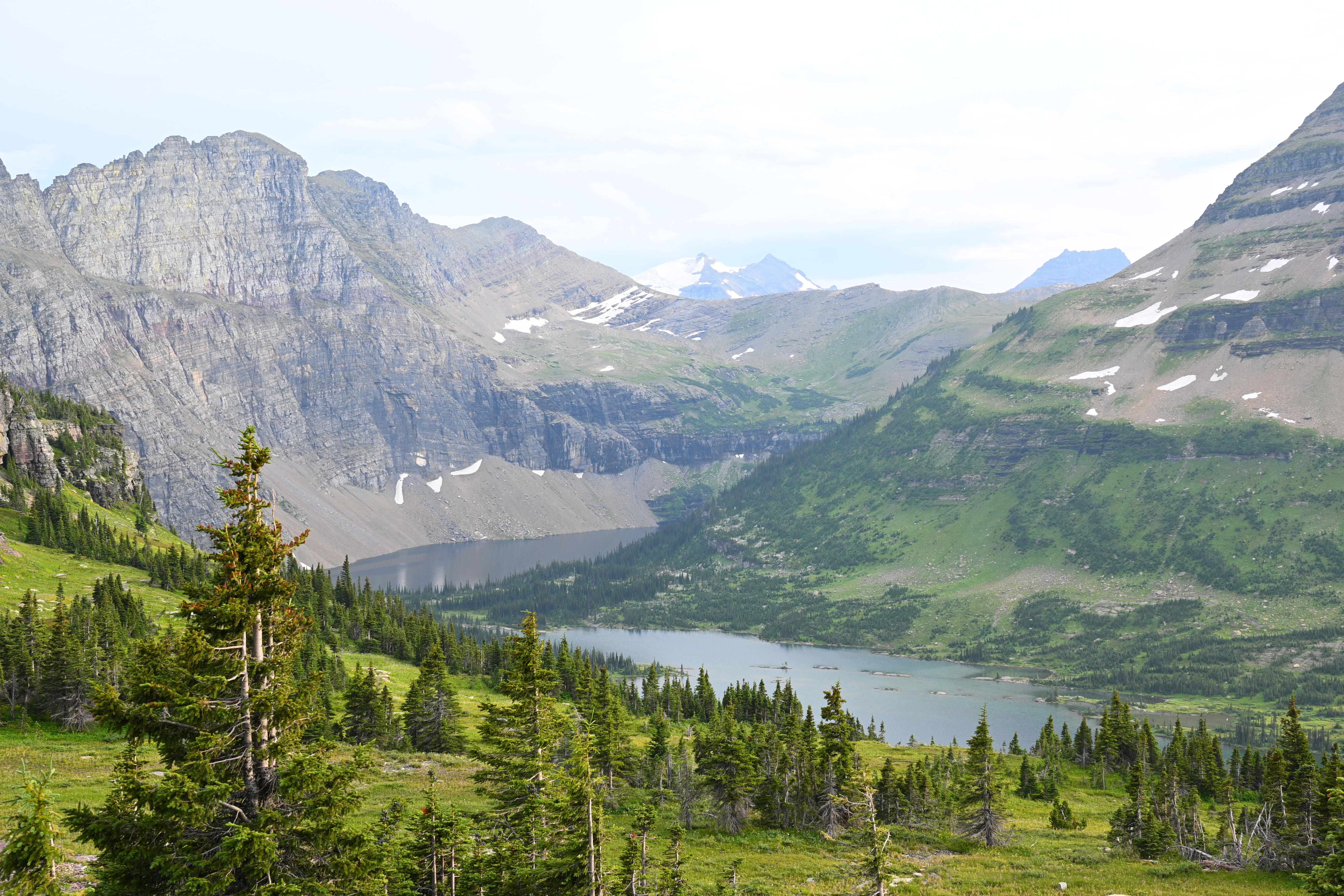 Well Being Dentistry